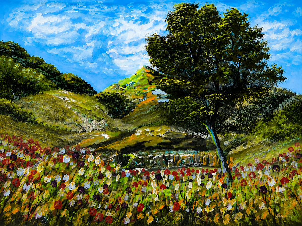 Where the Meadows Meet the Sky