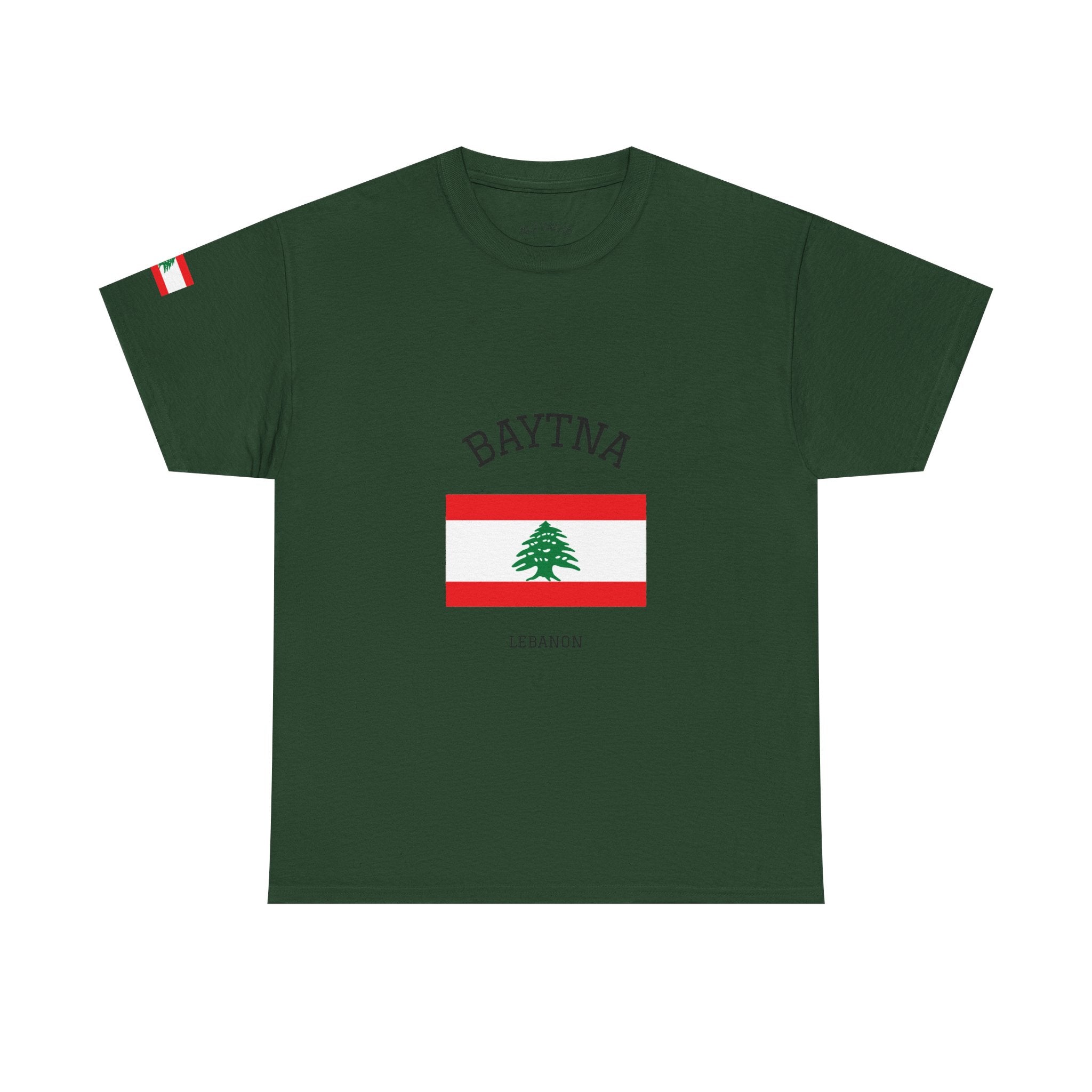 Baytna | بيتنا — Lebanese Heritage Art T-Shirt Featuring an Original Painting by Ali Hadid
