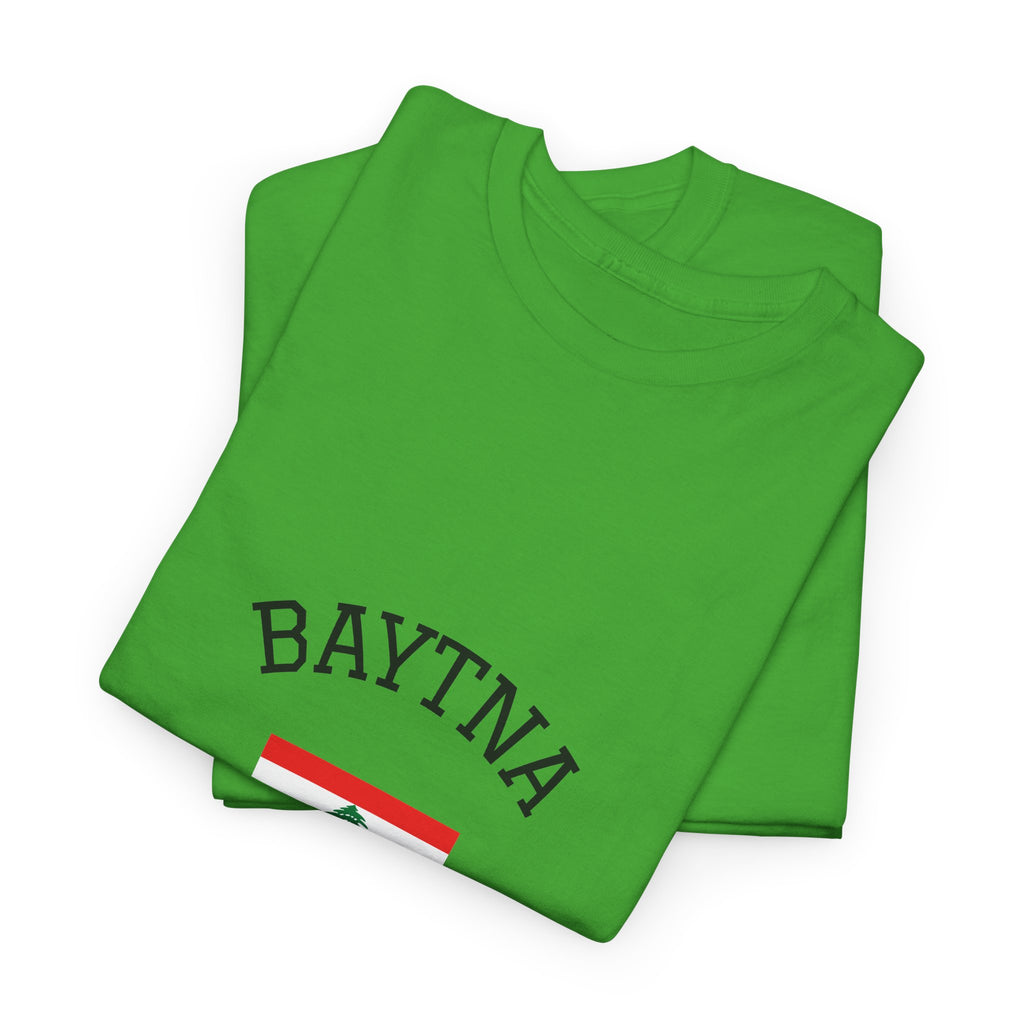 Baytna | بيتنا — Lebanese Heritage Art T-Shirt Featuring an Original Painting by Ali Hadid