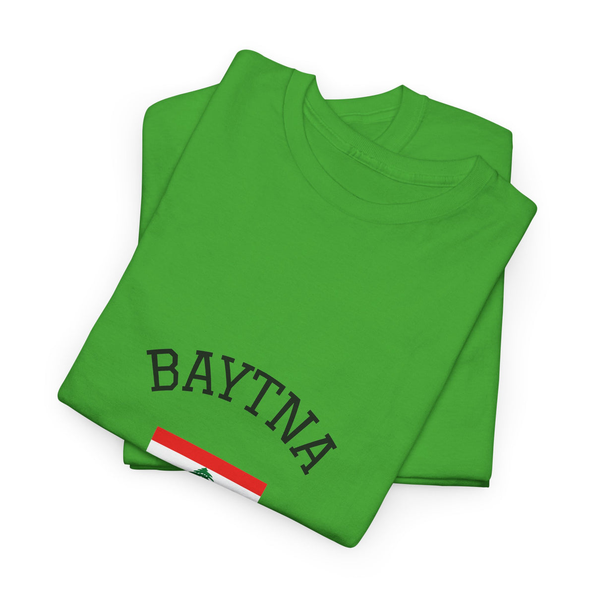 Baytna | بيتنا — Lebanese Heritage Art T-Shirt Featuring an Original Painting by Ali Hadid