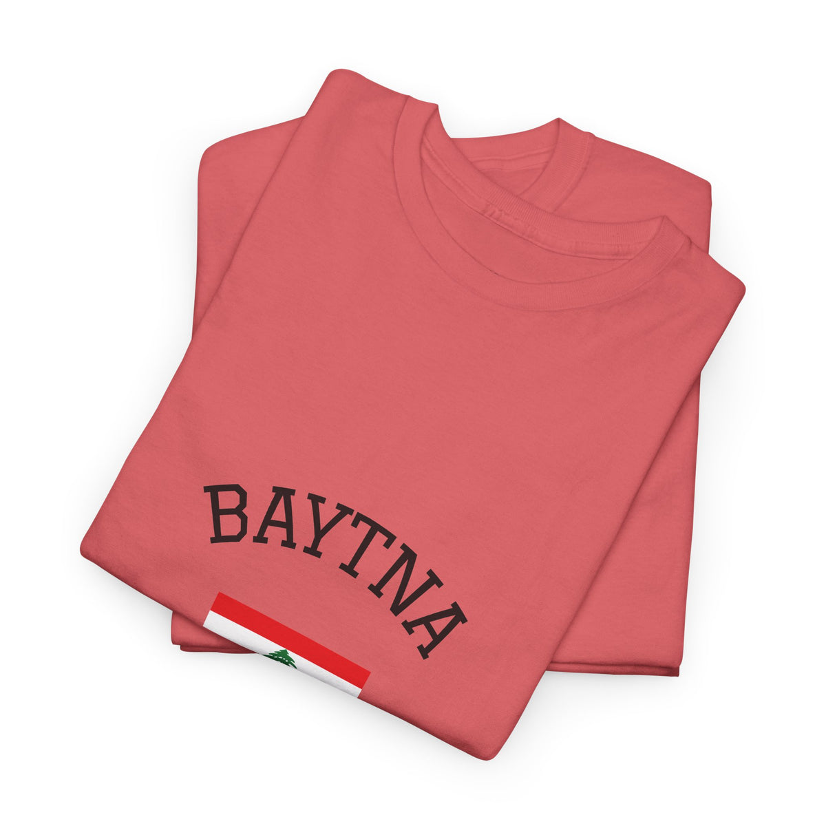 Baytna | بيتنا — Lebanese Heritage Art T-Shirt Featuring an Original Painting by Ali Hadid