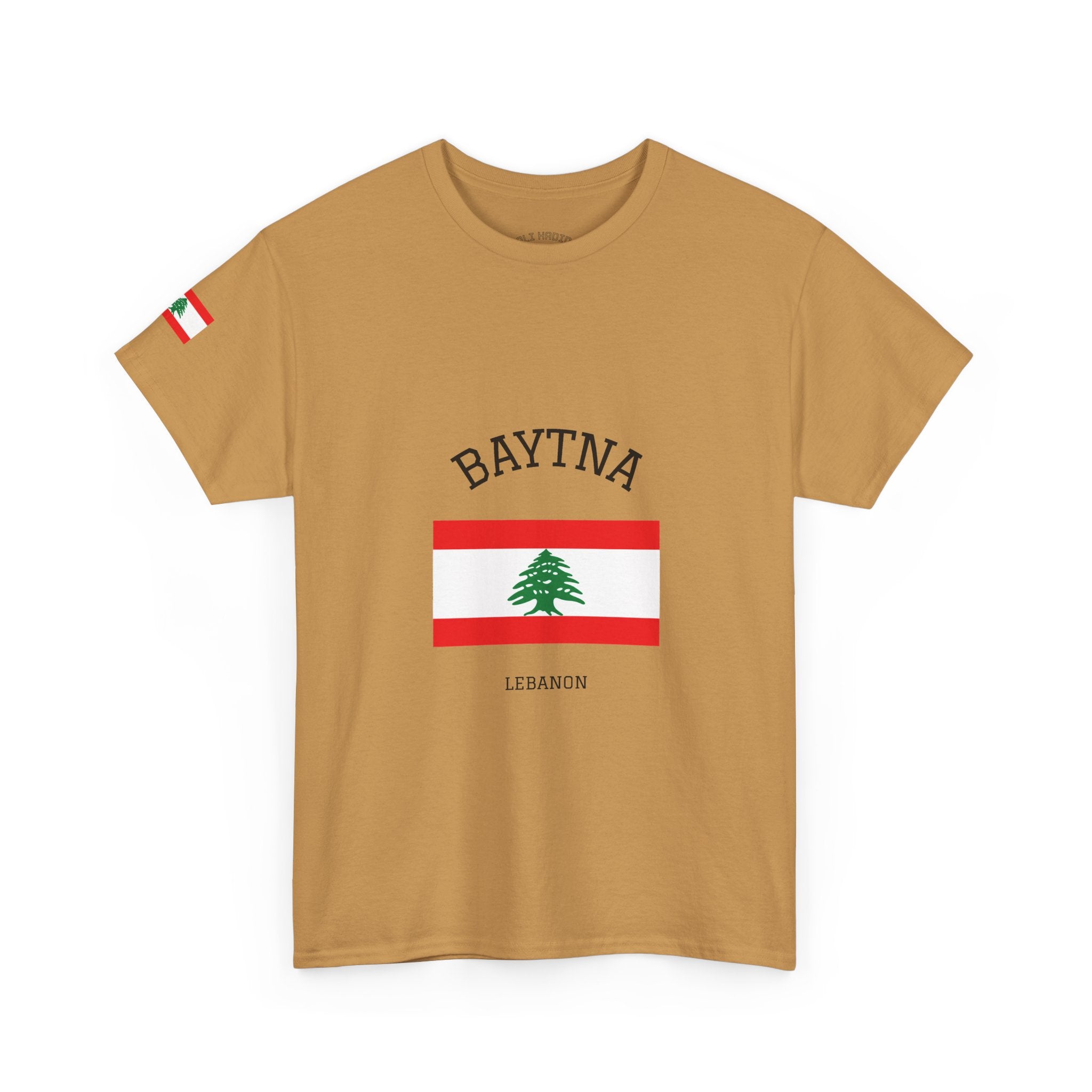 Baytna | بيتنا — Lebanese Heritage Art T-Shirt Featuring an Original Painting by Ali Hadid