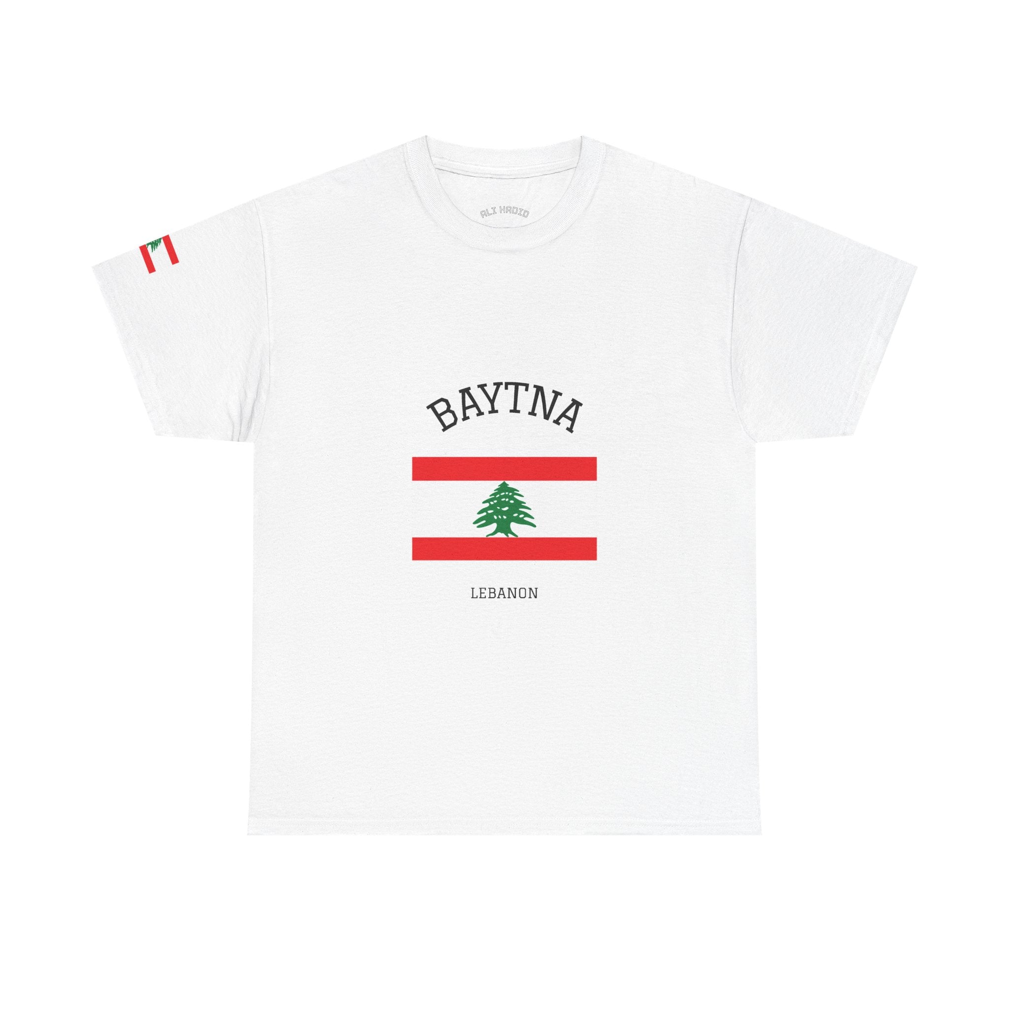 Baytna | بيتنا — Lebanese Heritage Art T-Shirt Featuring an Original Painting by Ali Hadid