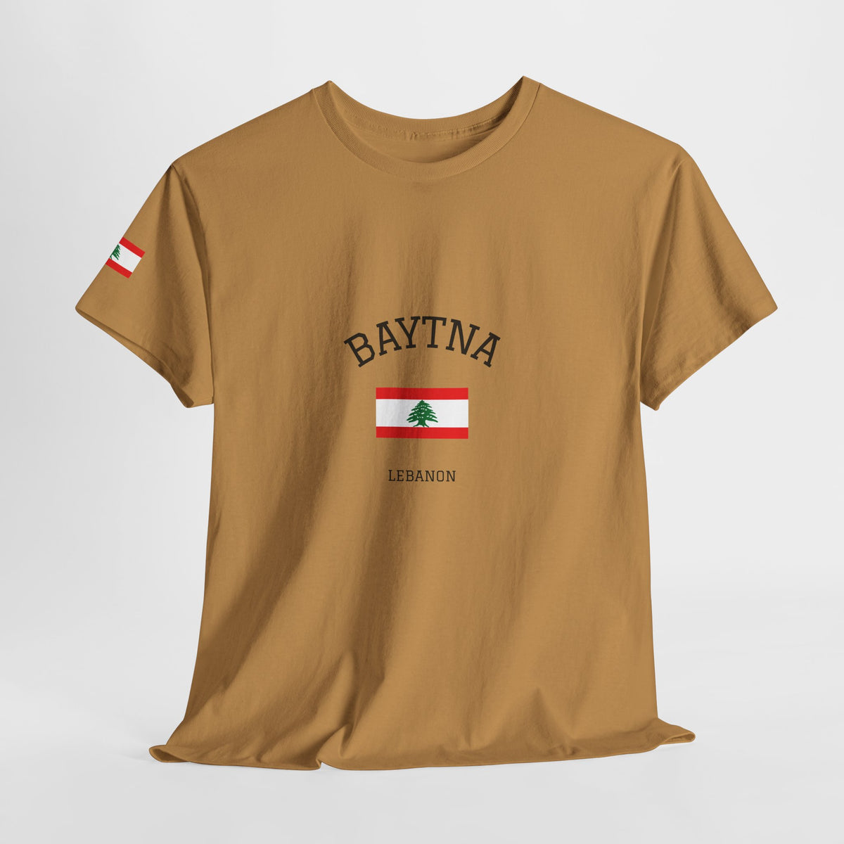 Baytna | بيتنا — Lebanese Heritage Art T-Shirt Featuring an Original Painting by Ali Hadid