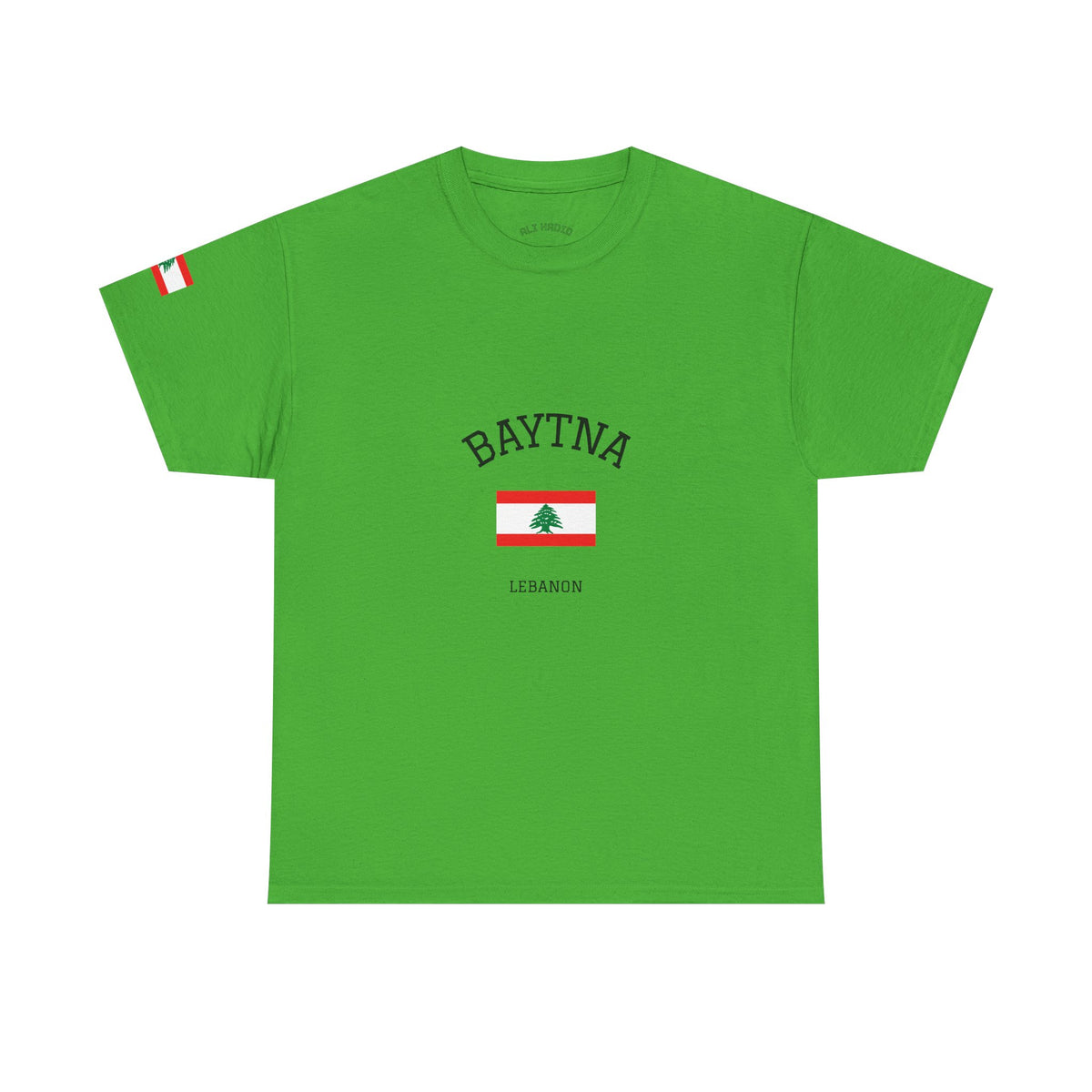 Baytna | بيتنا — Lebanese Heritage Art T-Shirt Featuring an Original Painting by Ali Hadid