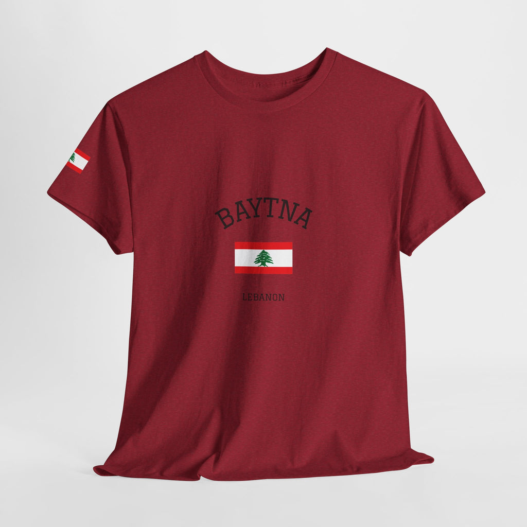 Baytna | بيتنا — Lebanese Heritage Art T-Shirt Featuring an Original Painting by Ali Hadid