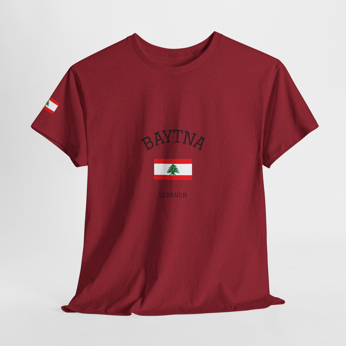 Baytna | بيتنا — Lebanese Heritage Art T-Shirt Featuring an Original Painting by Ali Hadid