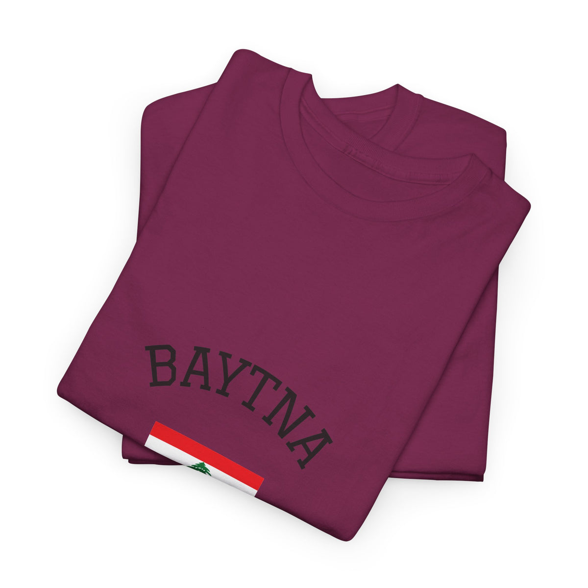 Baytna | بيتنا — Lebanese Heritage Art T-Shirt Featuring an Original Painting by Ali Hadid
