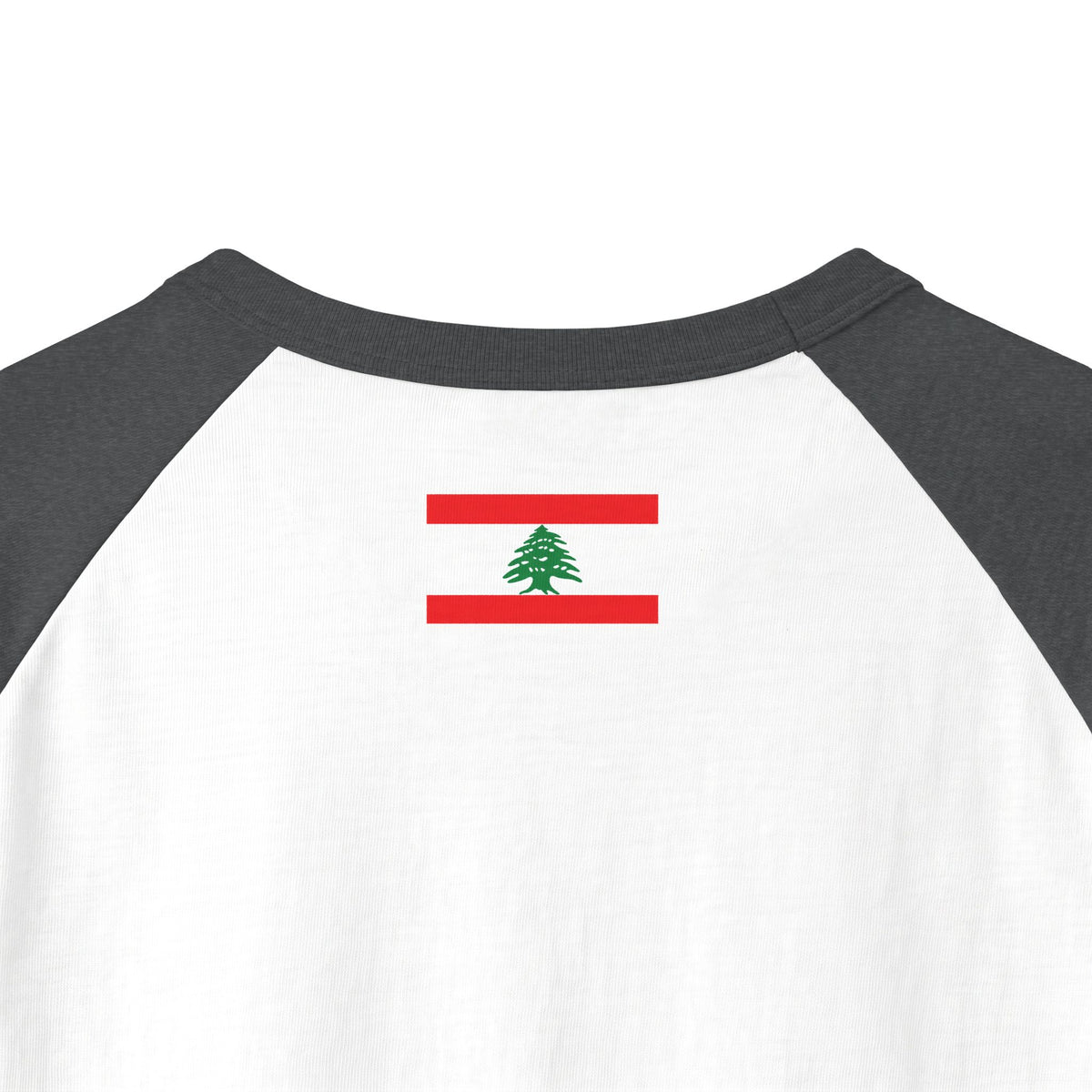 Ahl El Dar | أهل الدار — Ali Hadid Art Raglan Shirt
