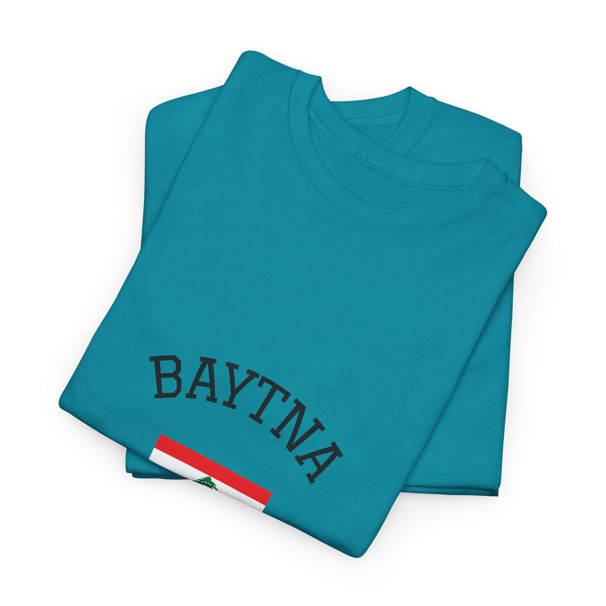 Baytna | بيتنا — Lebanese Heritage Art T-Shirt Featuring an Original Painting by Ali Hadid