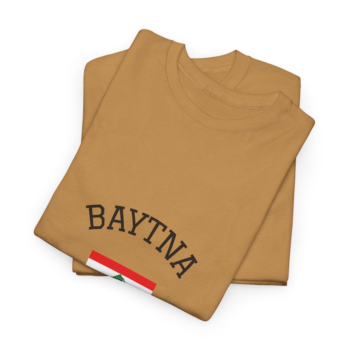 Baytna | بيتنا — Lebanese Heritage Art T-Shirt Featuring an Original Painting by Ali Hadid