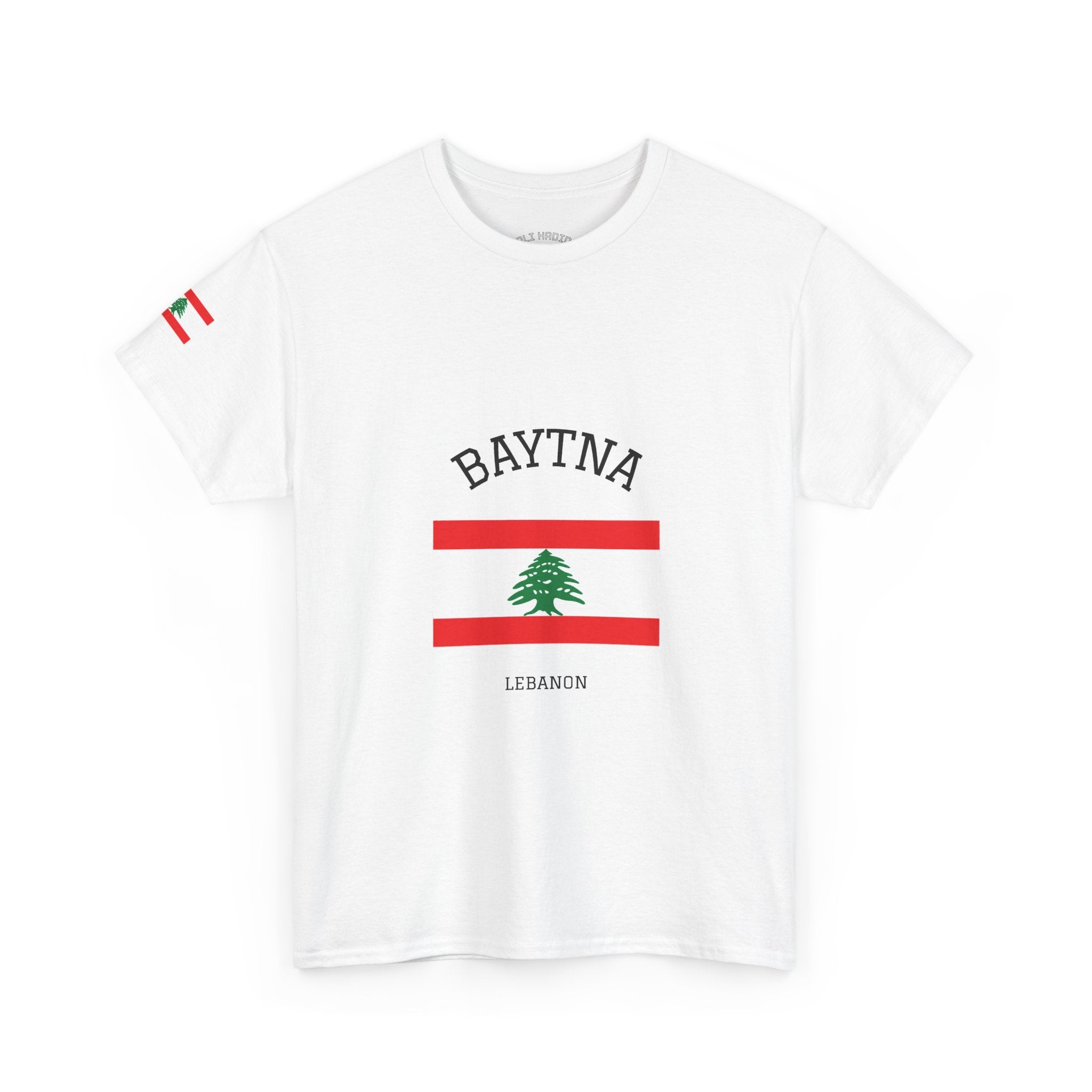 Baytna | بيتنا — Lebanese Heritage Art T-Shirt Featuring an Original Painting by Ali Hadid