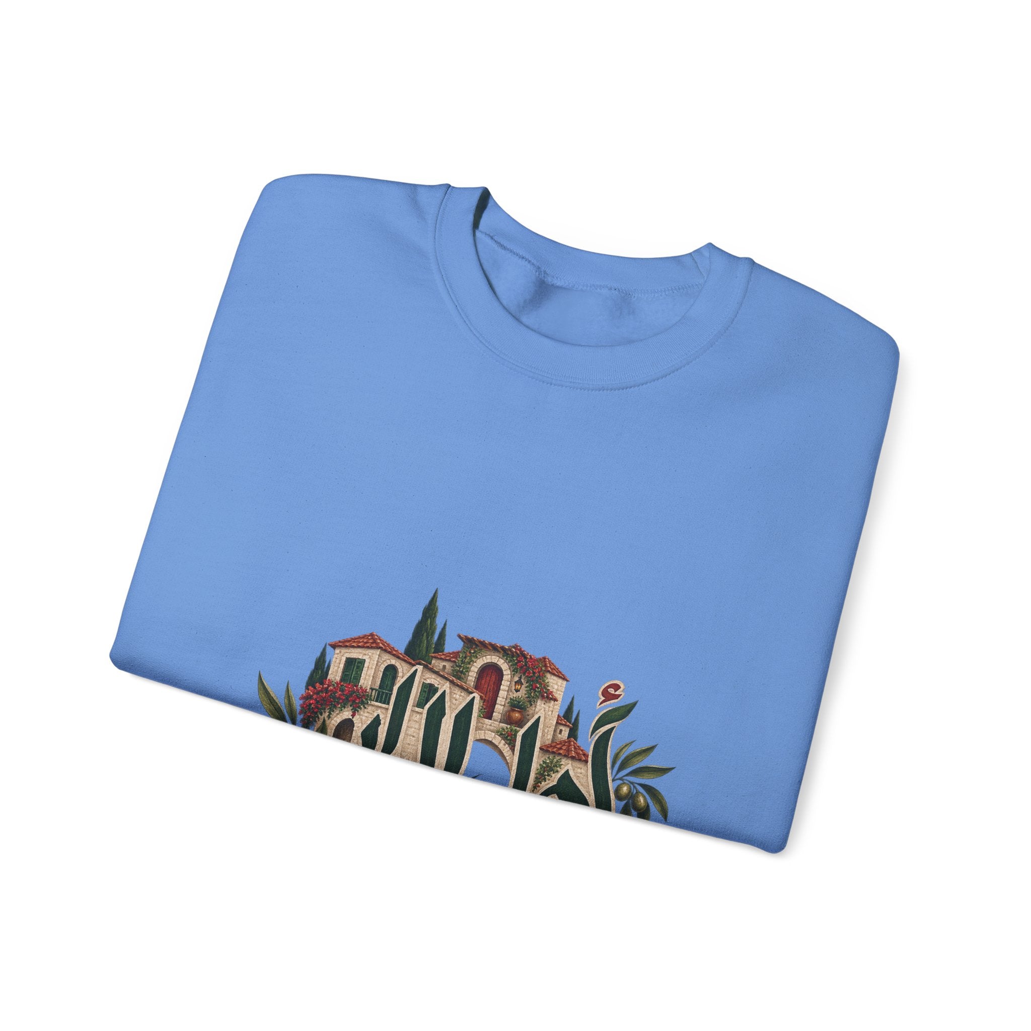 Ahl El Dar | أهل الدار — Ali Hadid Art Sweatshirt
