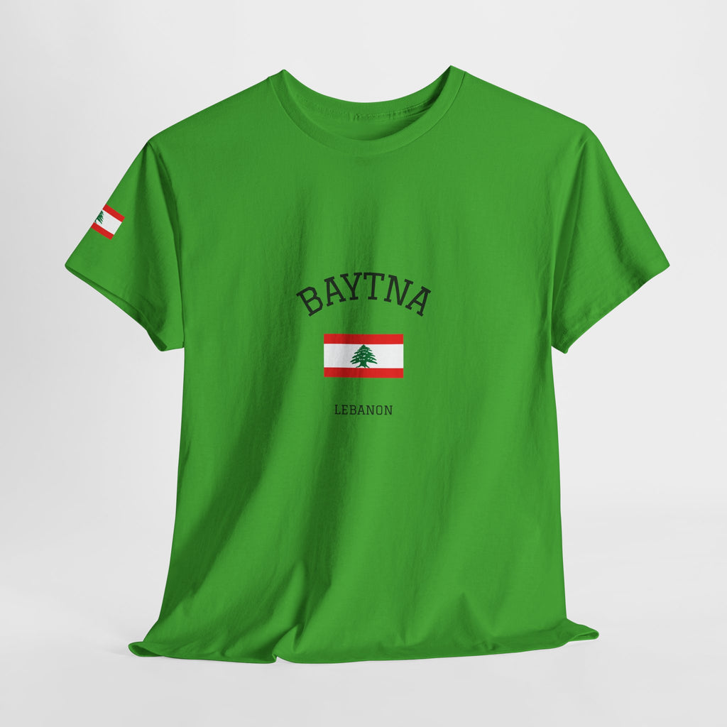 Baytna | بيتنا — Lebanese Heritage Art T-Shirt Featuring an Original Painting by Ali Hadid