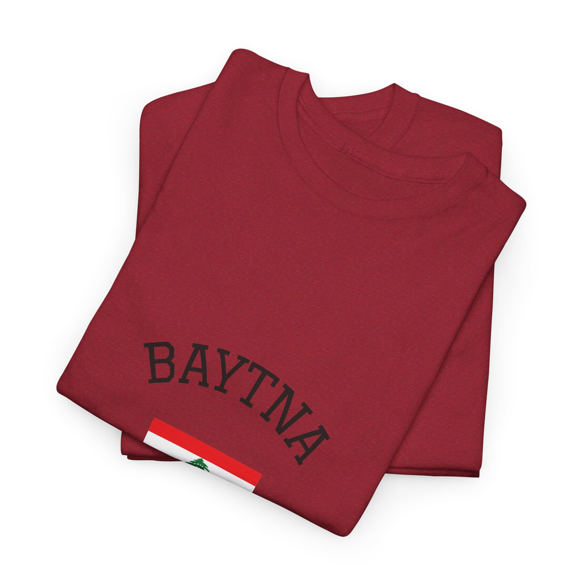 Baytna | بيتنا — Lebanese Heritage Art T-Shirt Featuring an Original Painting by Ali Hadid