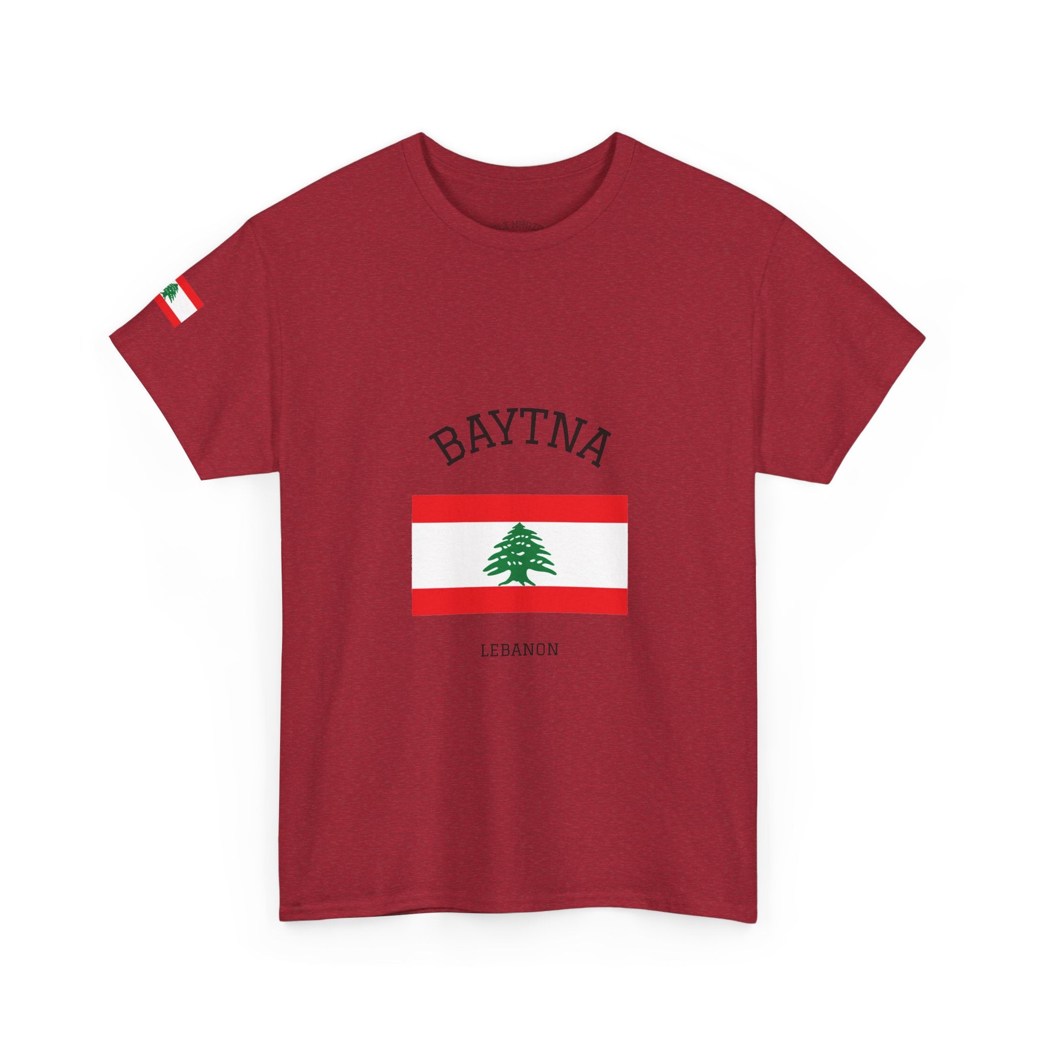 Baytna | بيتنا — Lebanese Heritage Art T-Shirt Featuring an Original Painting by Ali Hadid