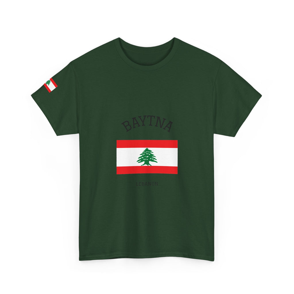 Baytna | بيتنا — Lebanese Heritage Art T-Shirt Featuring an Original Painting by Ali Hadid