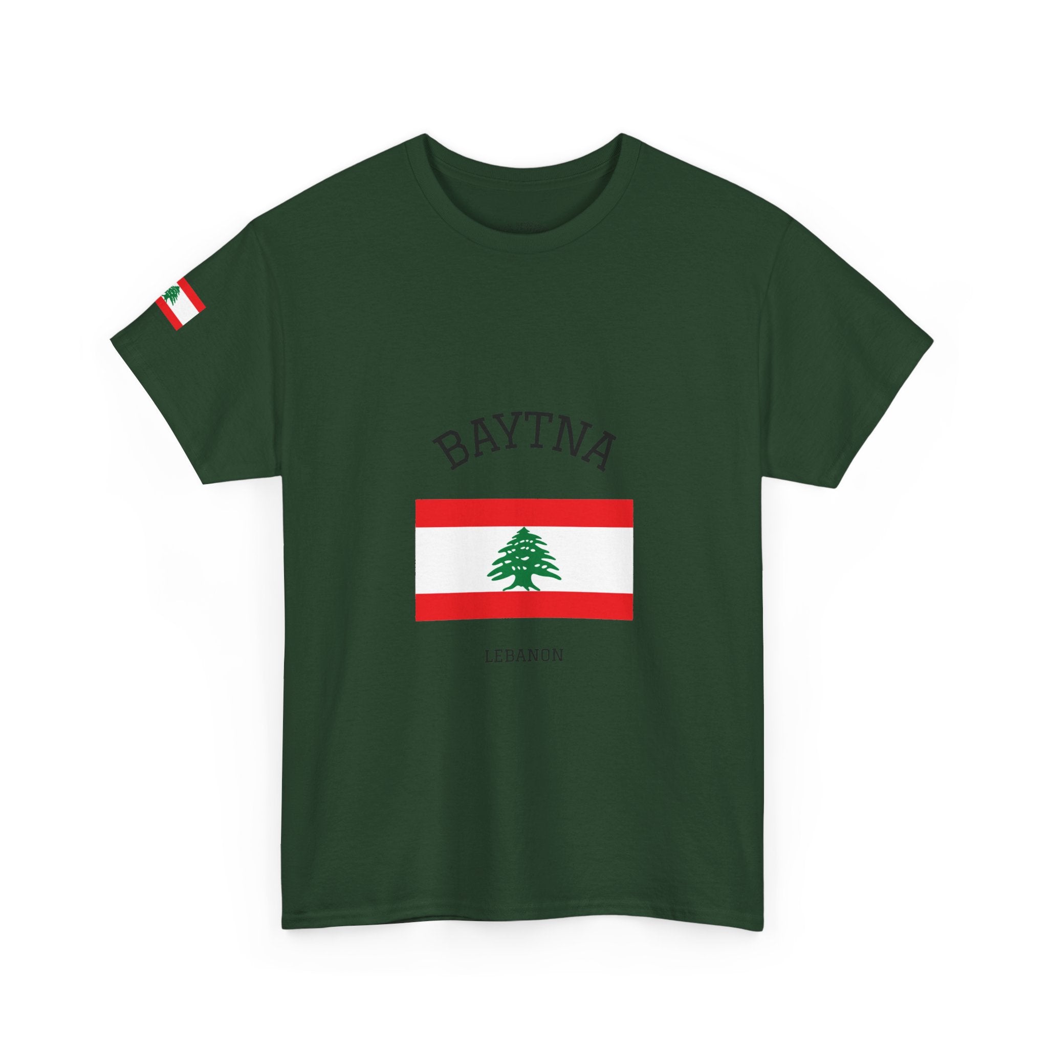 Baytna | بيتنا — Lebanese Heritage Art T-Shirt Featuring an Original Painting by Ali Hadid