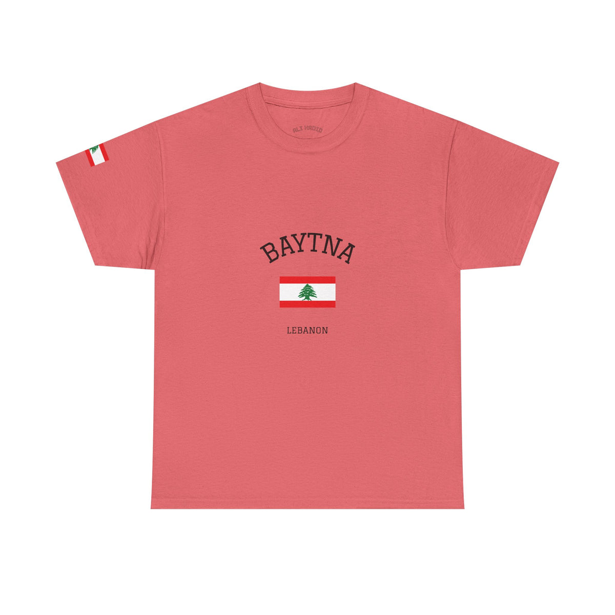 Baytna | بيتنا — Lebanese Heritage Art T-Shirt Featuring an Original Painting by Ali Hadid