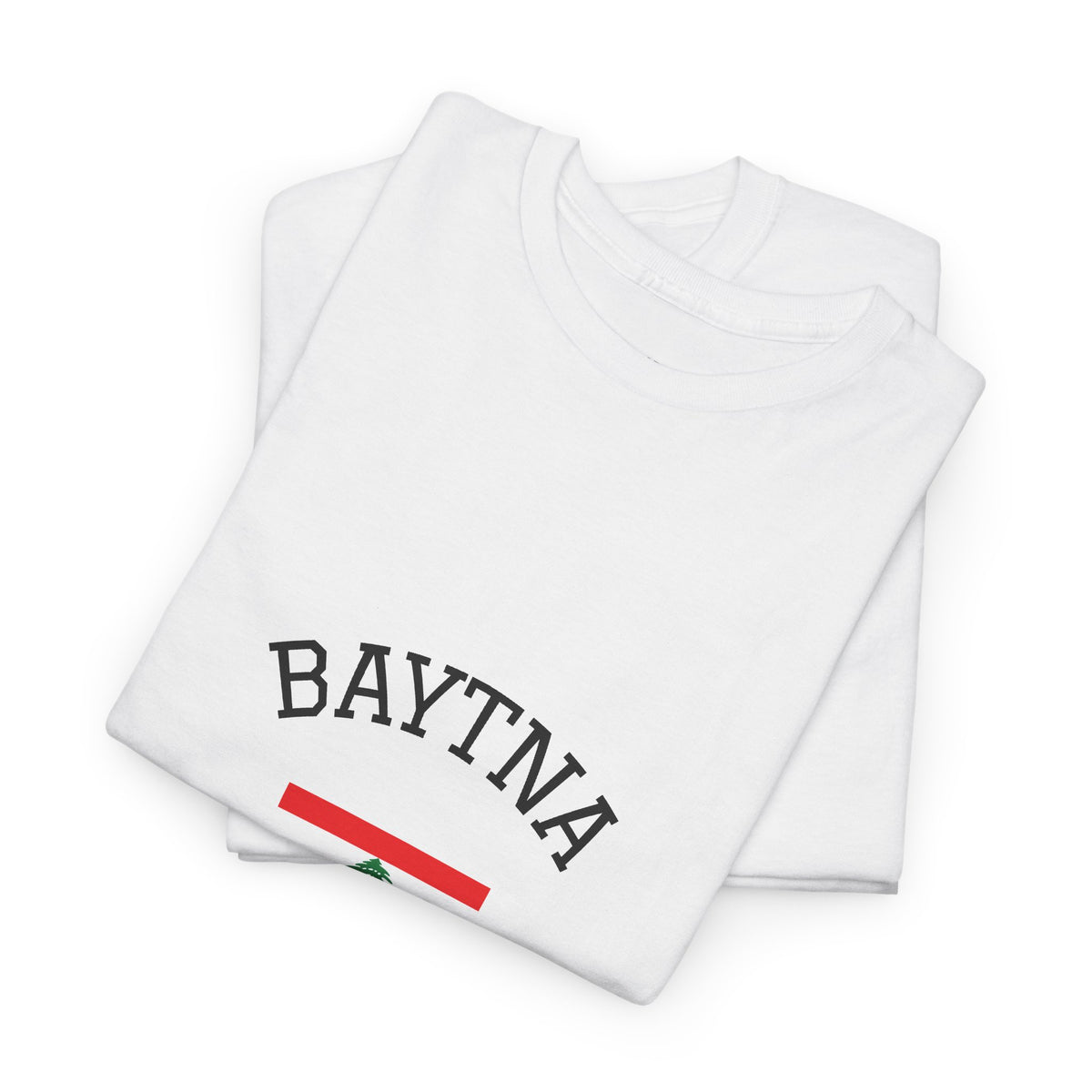 Baytna | بيتنا — Lebanese Heritage Art T-Shirt Featuring an Original Painting by Ali Hadid