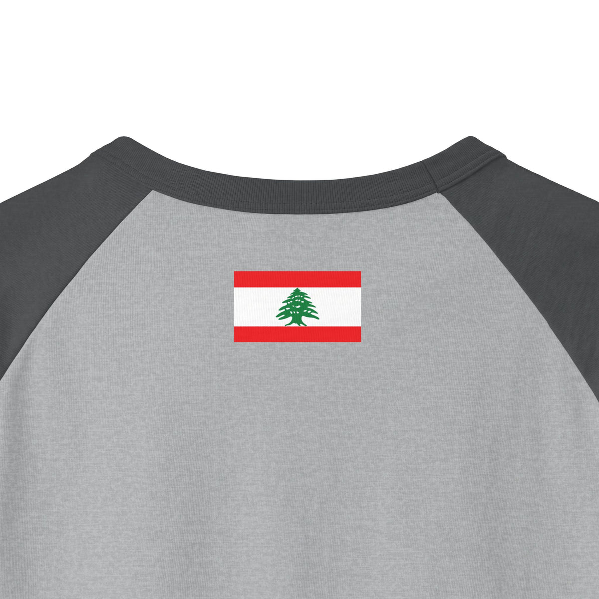 Ahl El Dar | أهل الدار — Ali Hadid Art Raglan Shirt